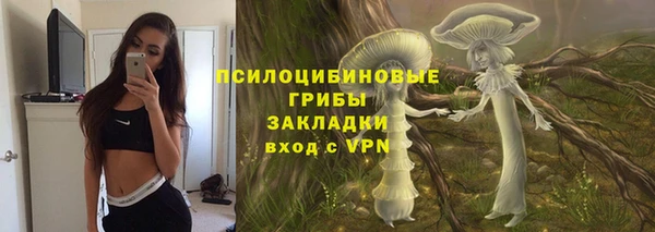 spice Алексеевка