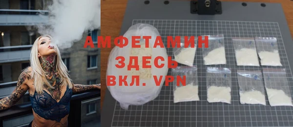 мдпв Рославль