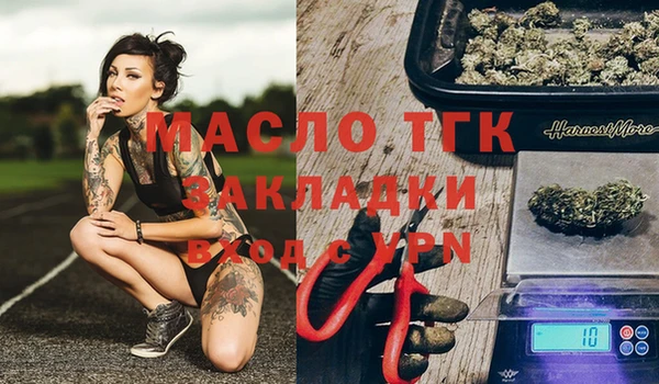 герыч Алексин
