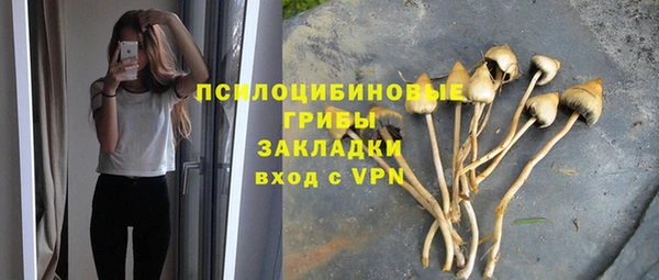 spice Алексеевка