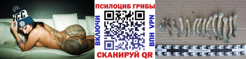 ссылка на мегу   Любань  Псилоцибиновые грибы Psilocybe 
